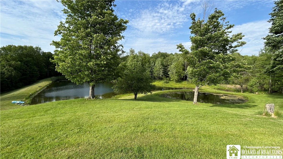 1994 Shaw Road Arkwright, NY 14062 - Photo 15 of 50