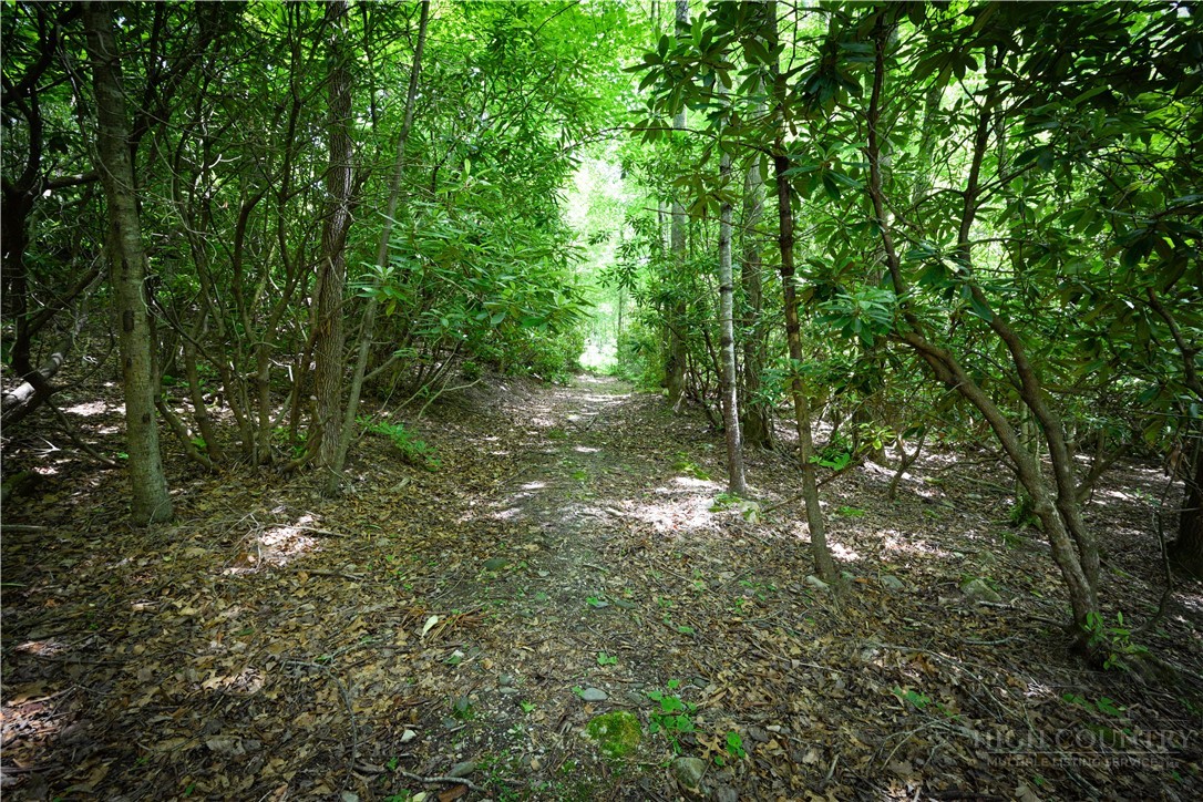 Lot 2 Gusher Knob Road Newland, NC 28657 - Photo 1 of 17