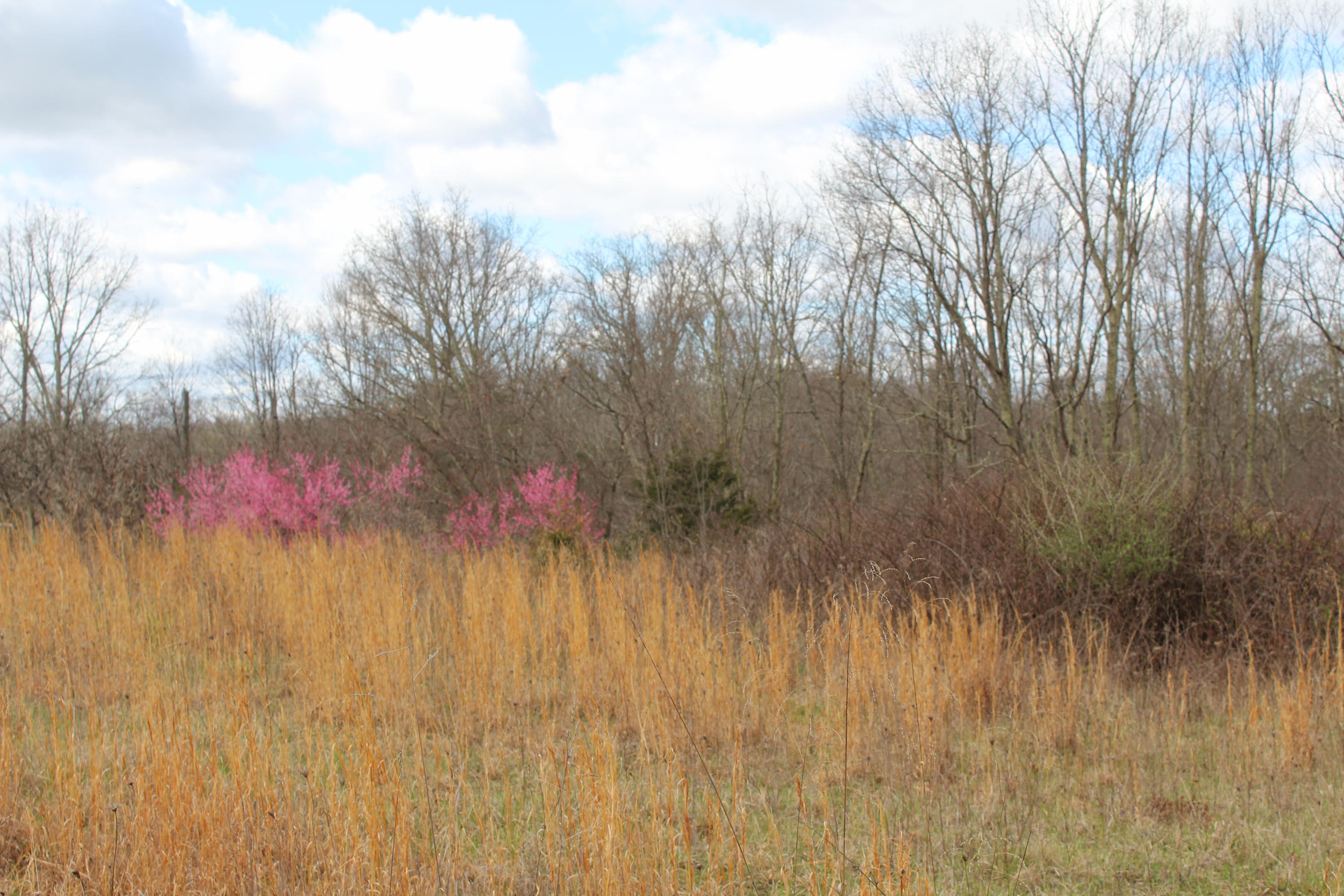 Creamery Road Talcott, WV 24981 - Photo 6 of 6 Gallery Image 6