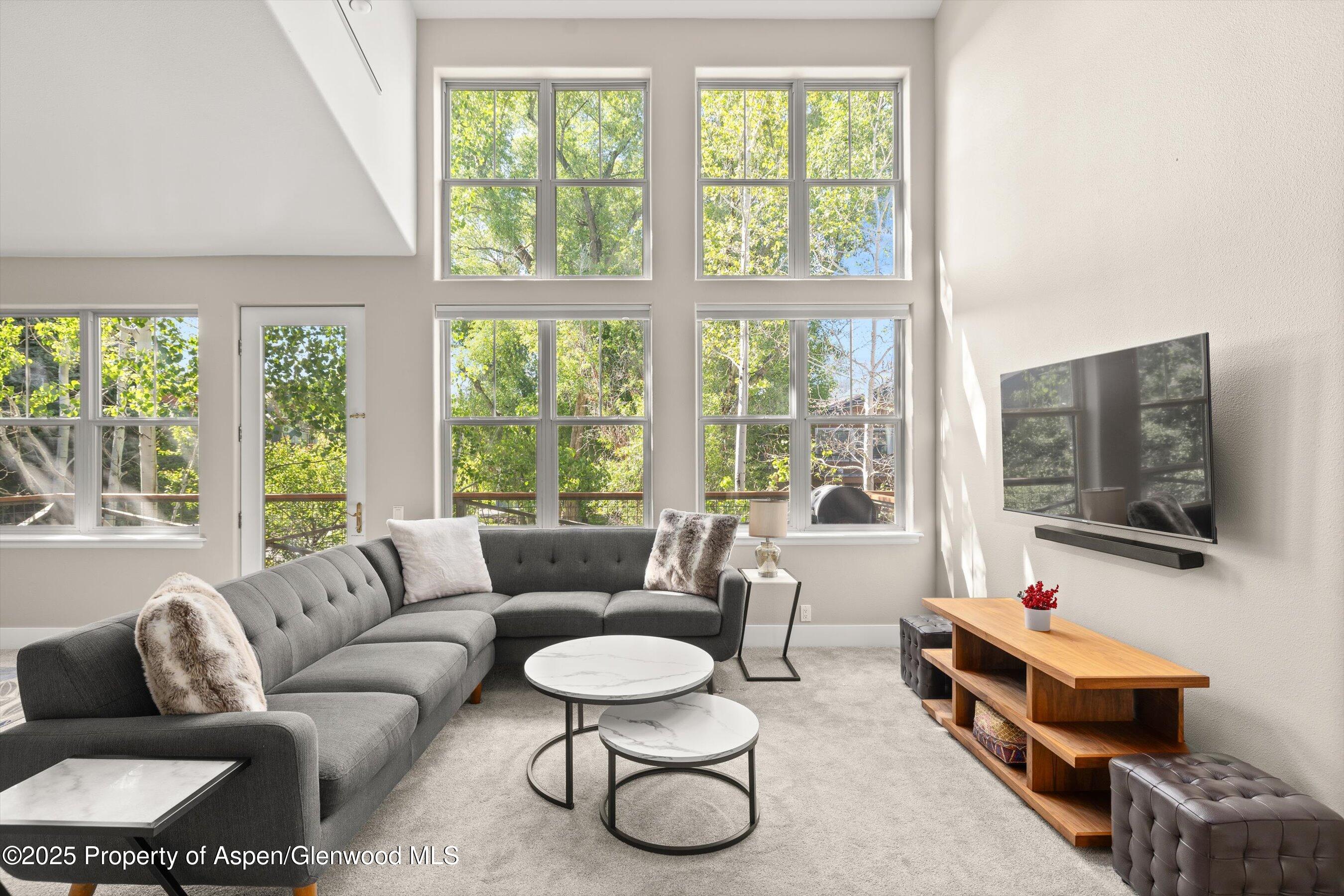 612 Evans Court Basalt, CO 81621 - Photo 2 of 17 a living room with furniture and a flat screen tv