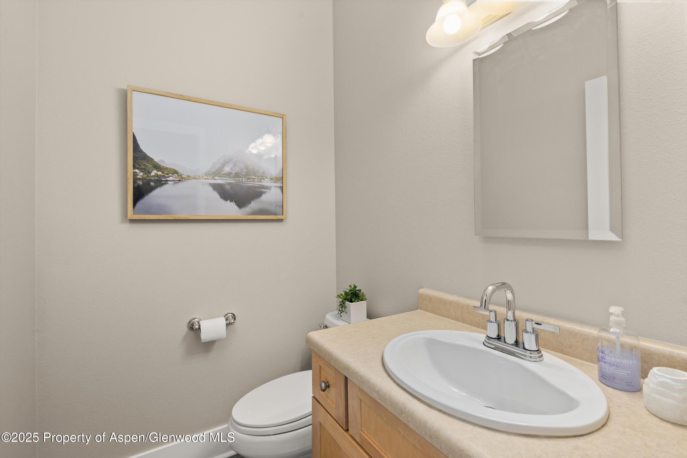 612 Evans Court Basalt, CO 81621 - Photo 9 of 17 a bathroom with a toilet a sink and a mirror