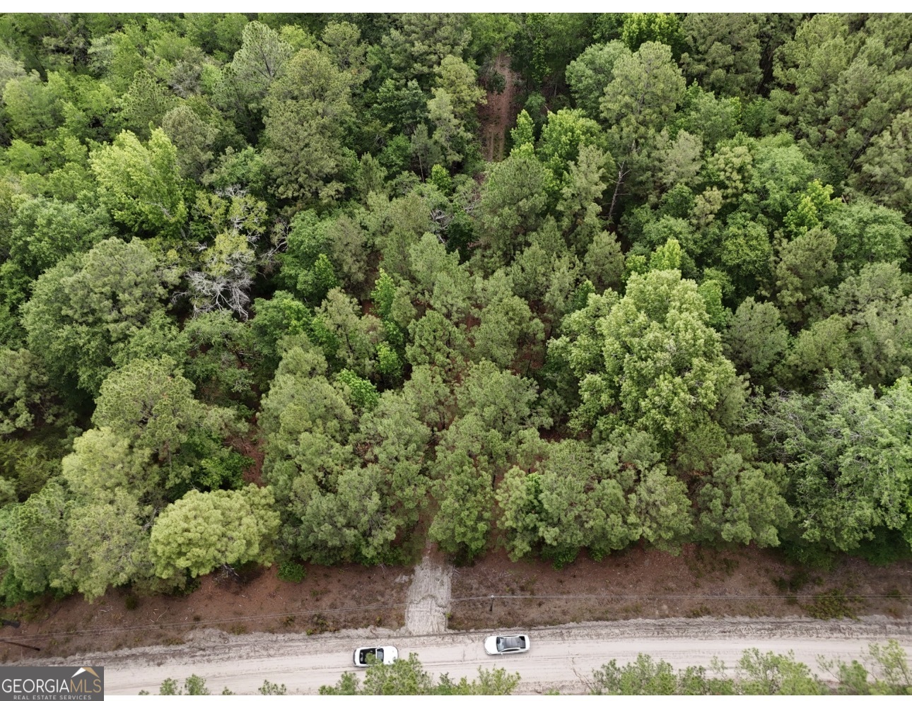 0 Duck Pond Road Sylvania, GA 30467 - Photo 6 of 8 an aerial view of a house with yard