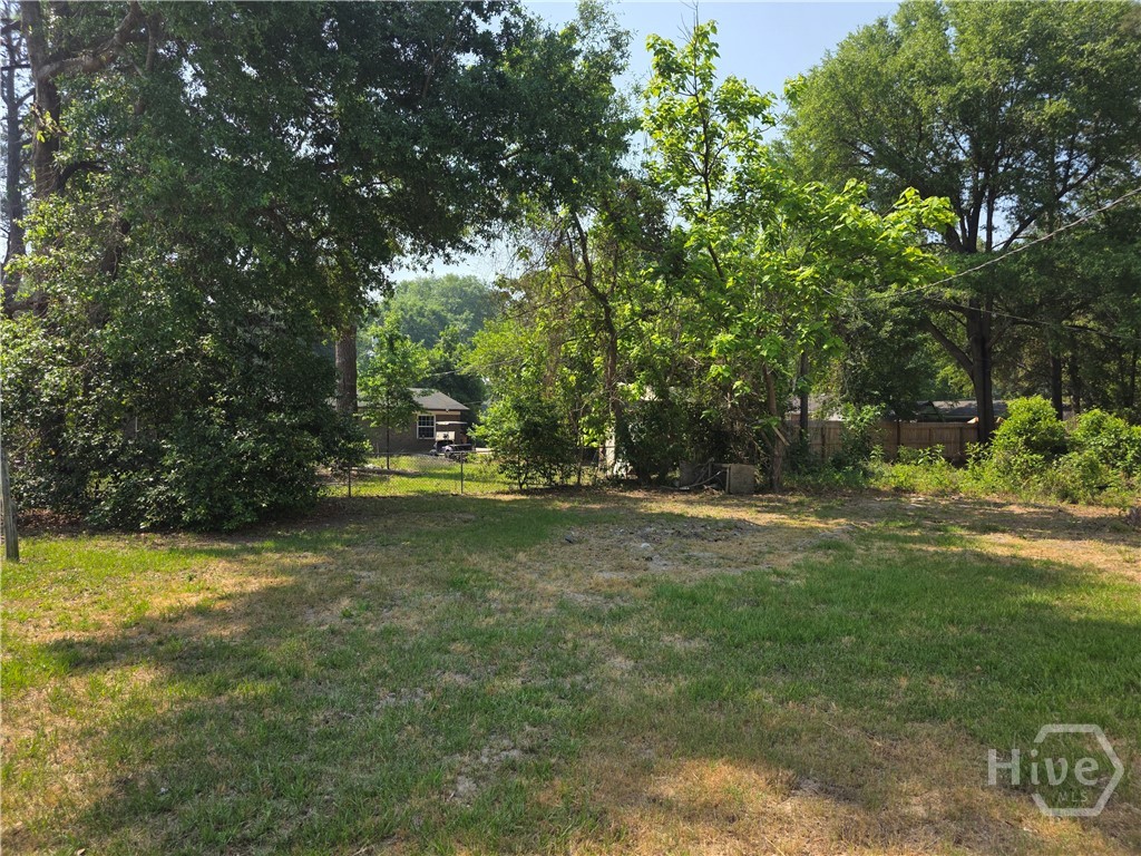 309 East 3rd Street Springfield, GA 31329 - Photo 18 of 18