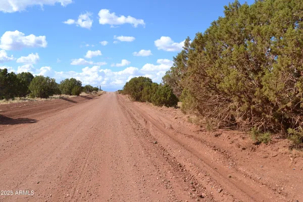 a view of dirt yard
