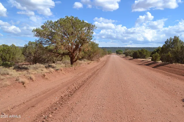 a view of a dry space with mountain in the back