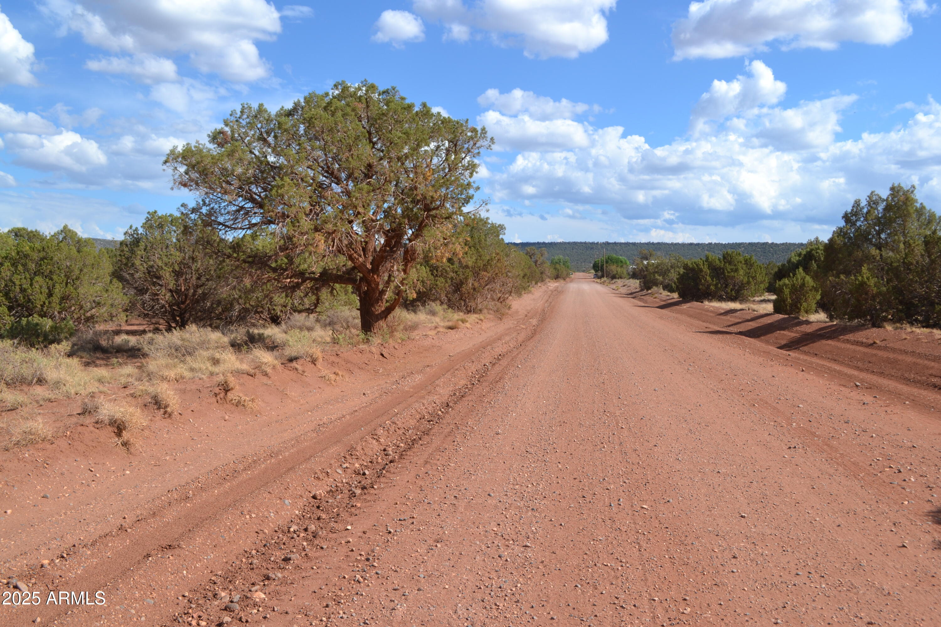 4161 Colt Road, Unit 273 Snowflake, AZ 85937 - Photo 13 of 13 a view of a dry space with mountain in the back