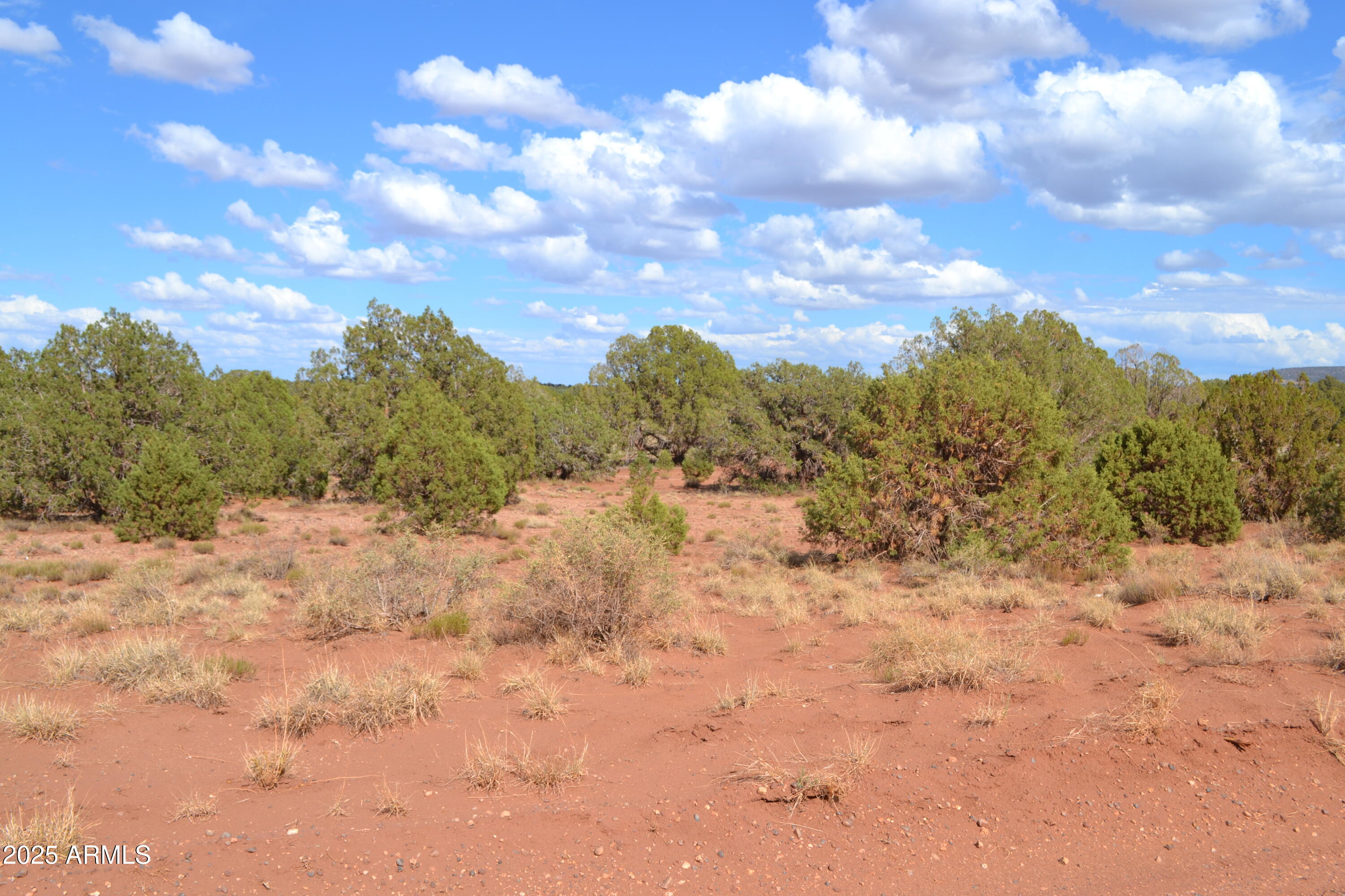 4161 Colt Road, Unit 273 Snowflake, AZ 85937 - Photo 2 of 13 a view of a covered with snow in the background
