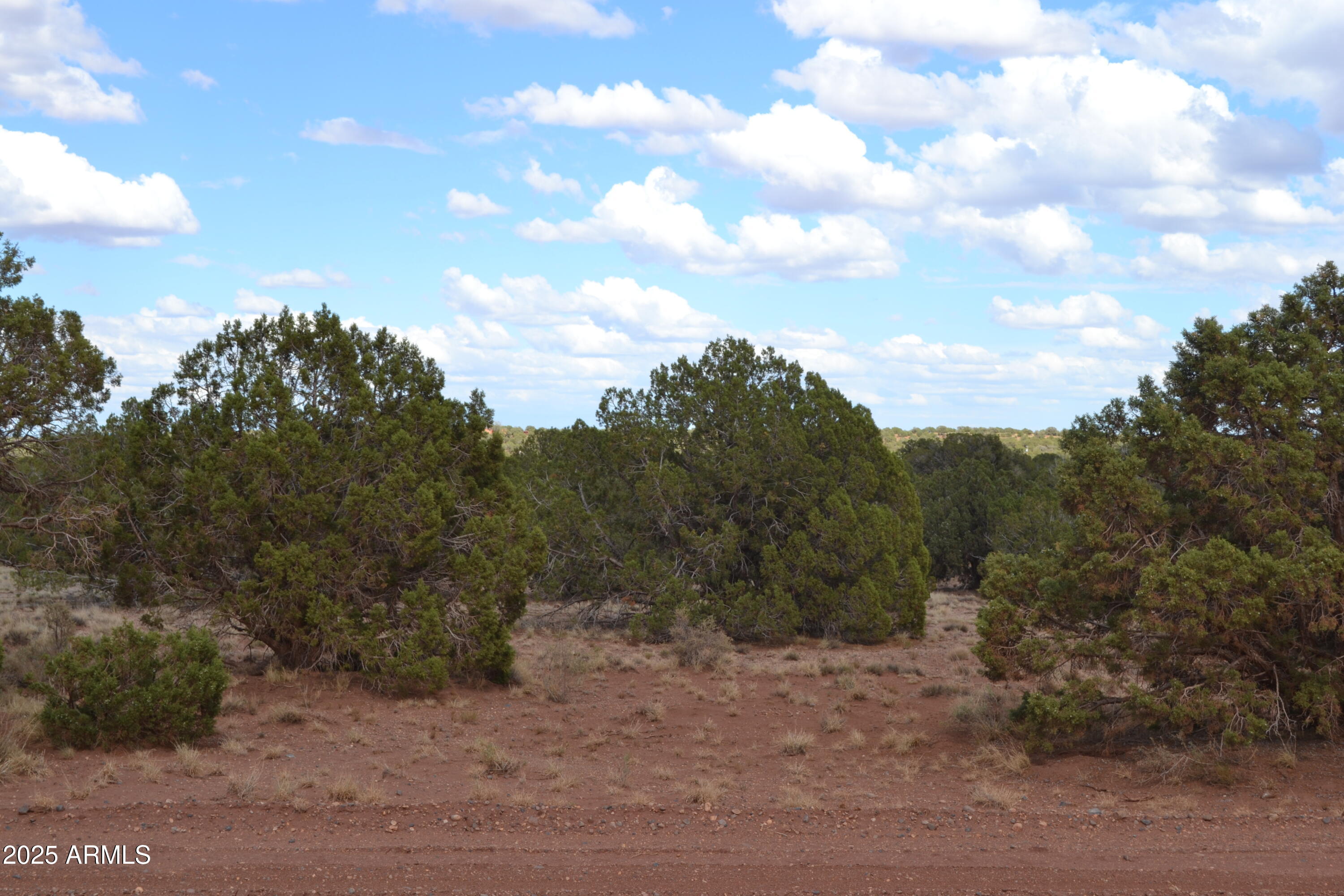 4161 Colt Road, Unit 273 Snowflake, AZ 85937 - Photo 4 of 13 a view of a dry yard with trees in the background