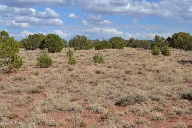 a view of a field with trees in the background