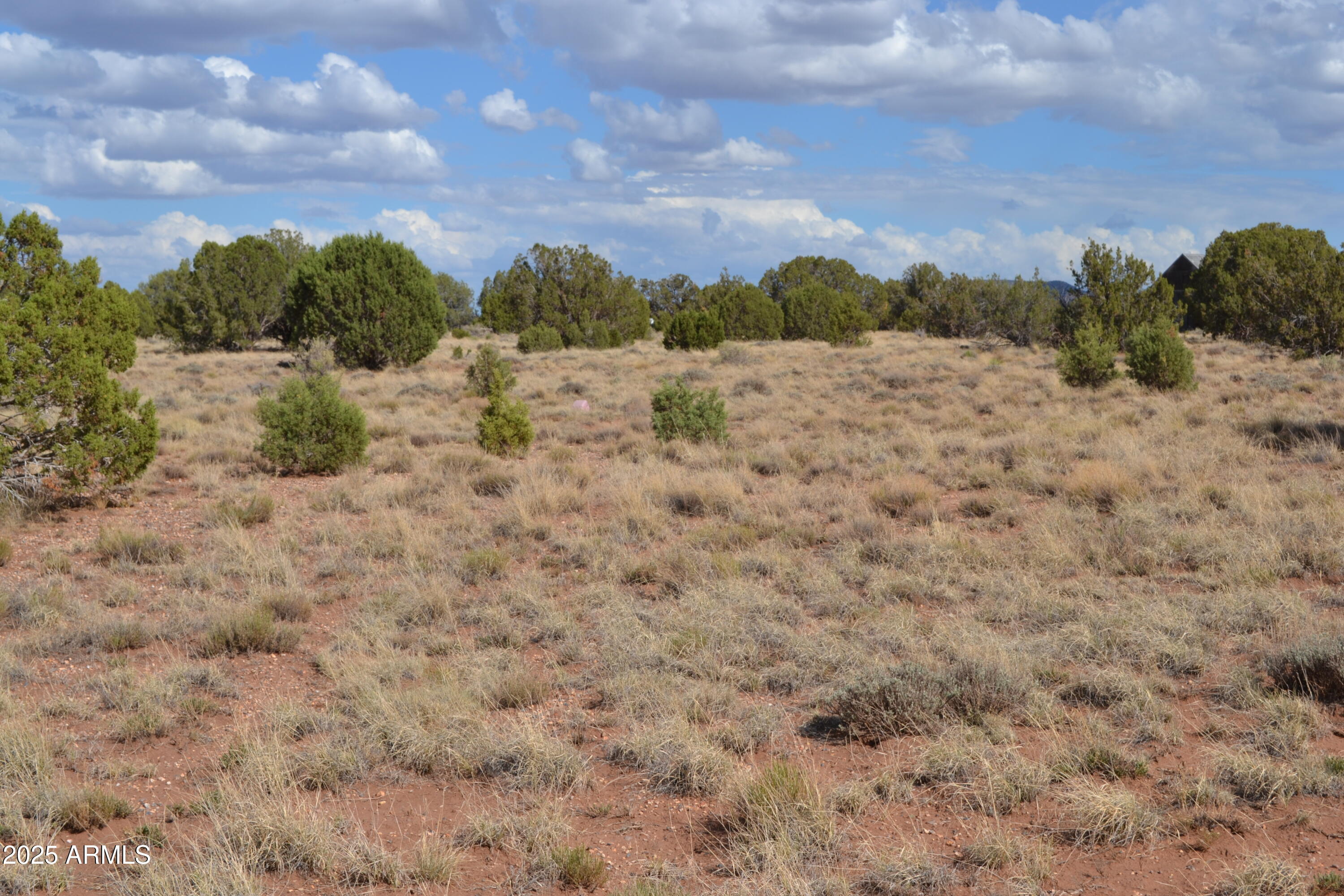 4161 Colt Road, Unit 273 Snowflake, AZ 85937 - Photo 6 of 13 a view of a field with trees in the background