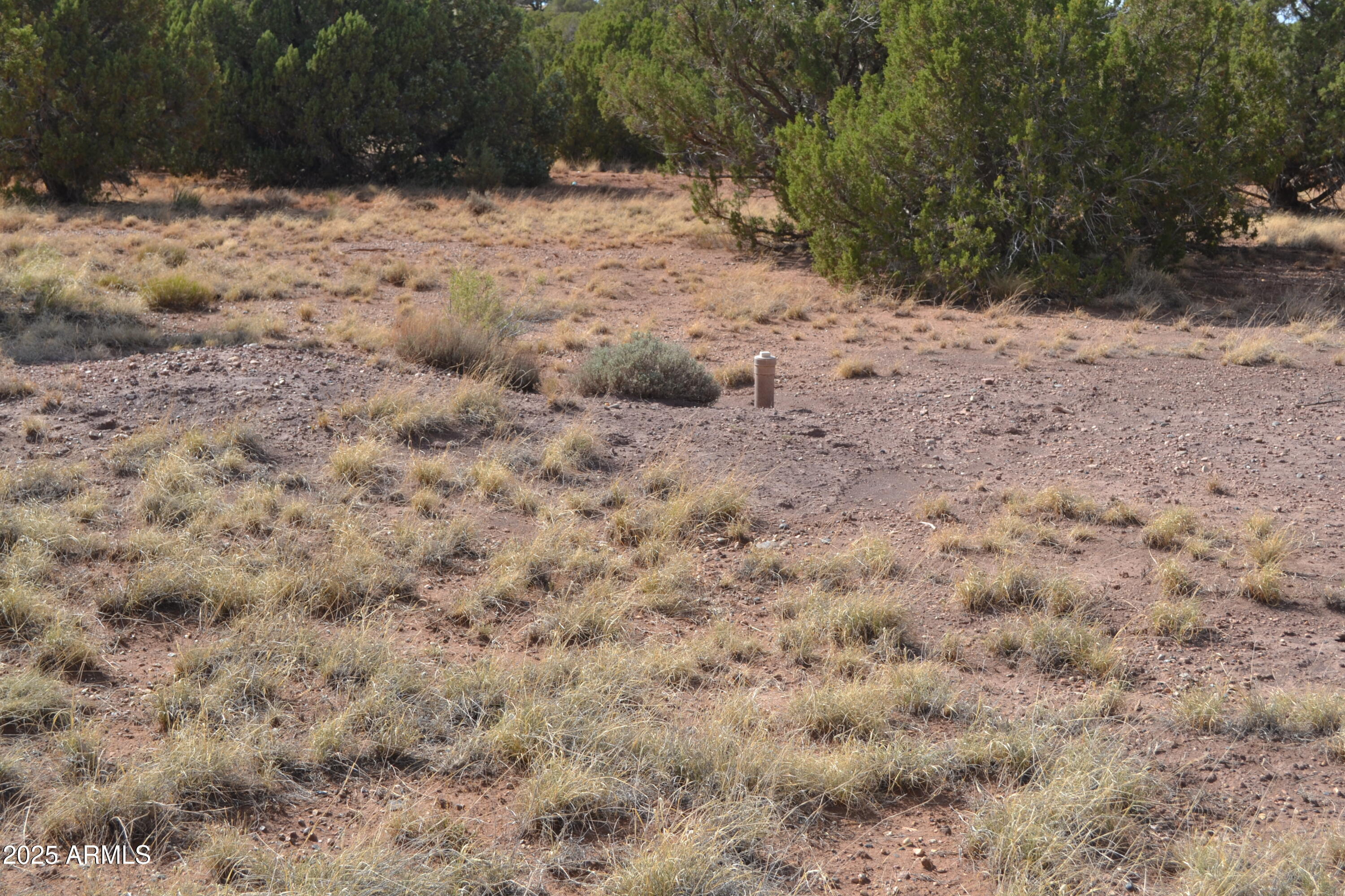 4161 Colt Road, Unit 273 Snowflake, AZ 85937 - Photo 7 of 13 a view of a dry yard covered with snow