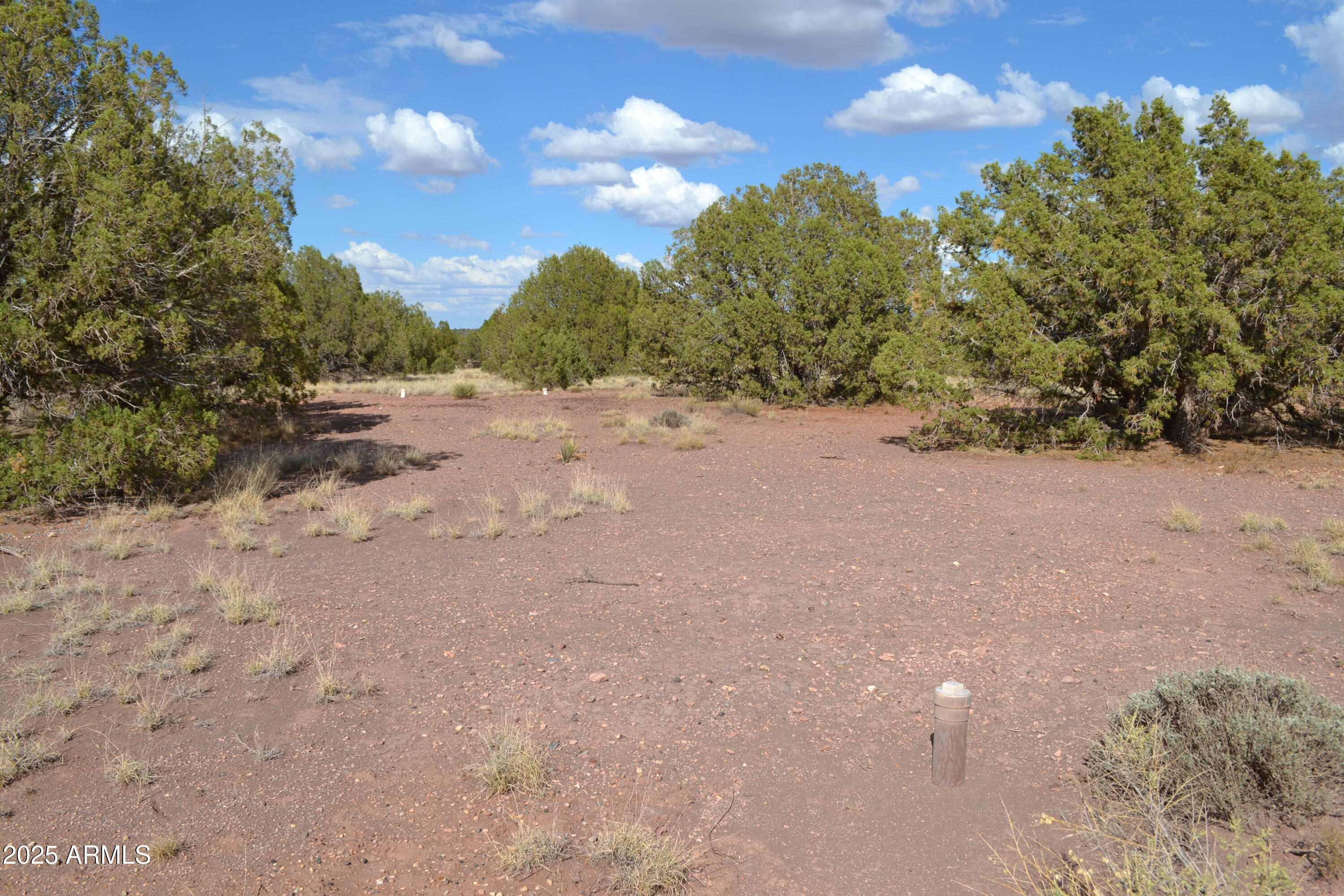 4161 Colt Road, Unit 273 Snowflake, AZ 85937 - Photo 8 of 13 a view of a field with trees in the background