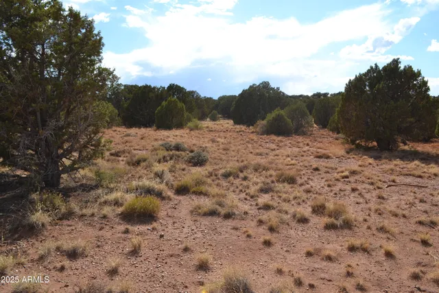 a view of a dry yard with mountains in the background
