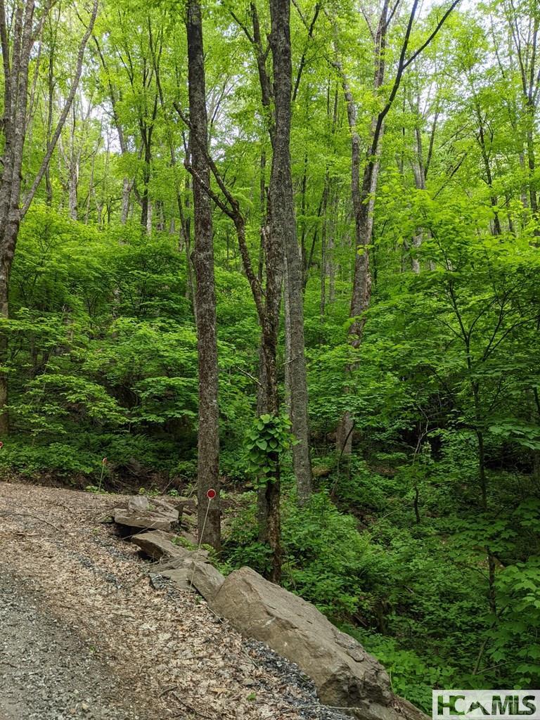 0 Buck Knob Road Cullowhee, NC 28723 - Photo 8 of 9 Gallery Image 8