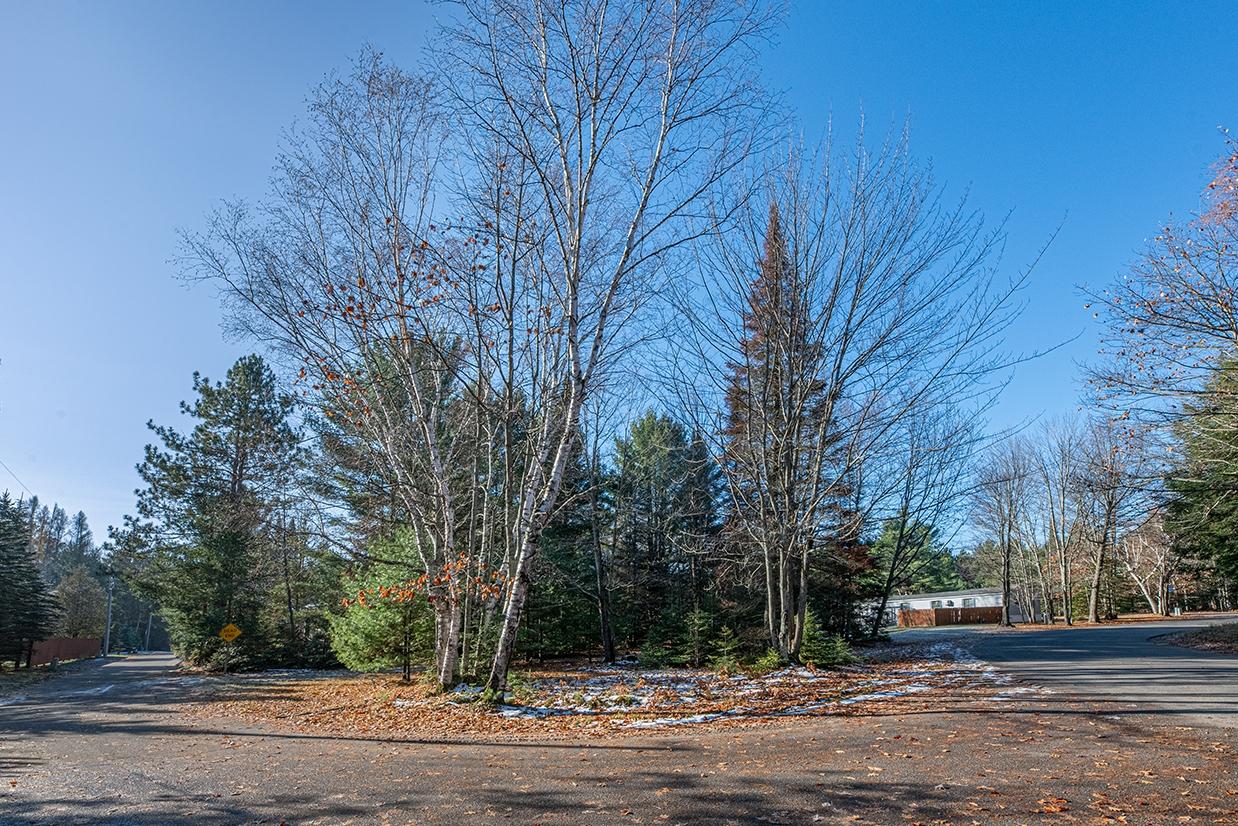 Three Eagle Road, Unit LOT 16 Eagle River, WI 54521 - Photo 1 of 16 Gallery Image 1