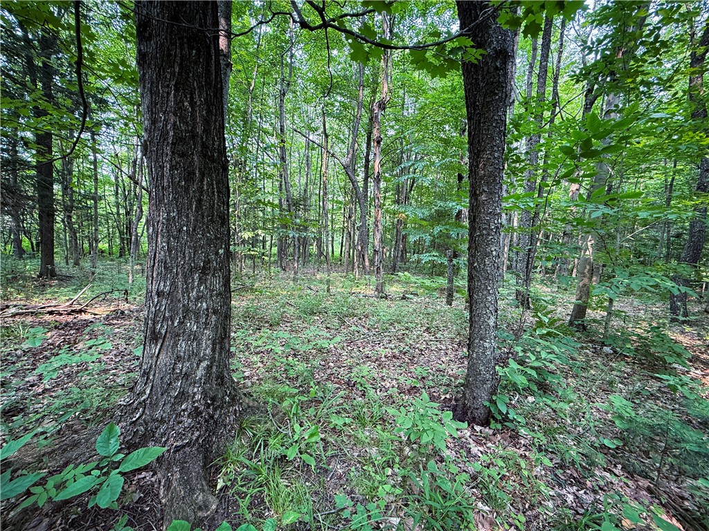 556 Beebe Road Potsdam, NY 13676 - Photo 29 of 50