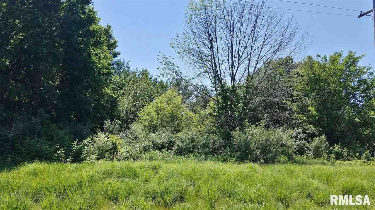 2194 Lakeview Road North, Unit NORTH Dahinda, IL 61428 - Photo 1 of 4 Gallery Image 1
