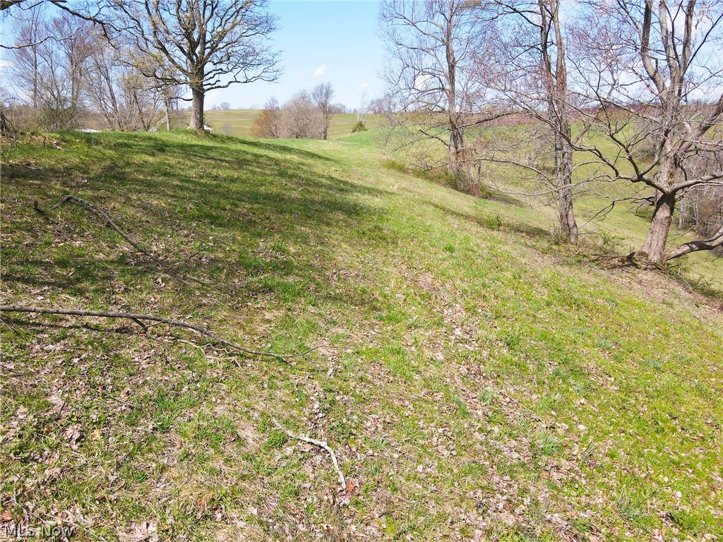 87800 Dewell Road Scio, OH 43988 - Photo 26 of 28 Gallery Image 26