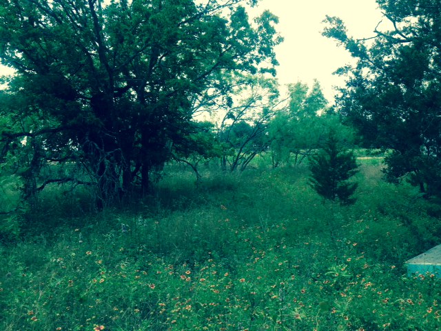 0 Frate Barker Road Austin, TX 78748 - Photo 1 of 1