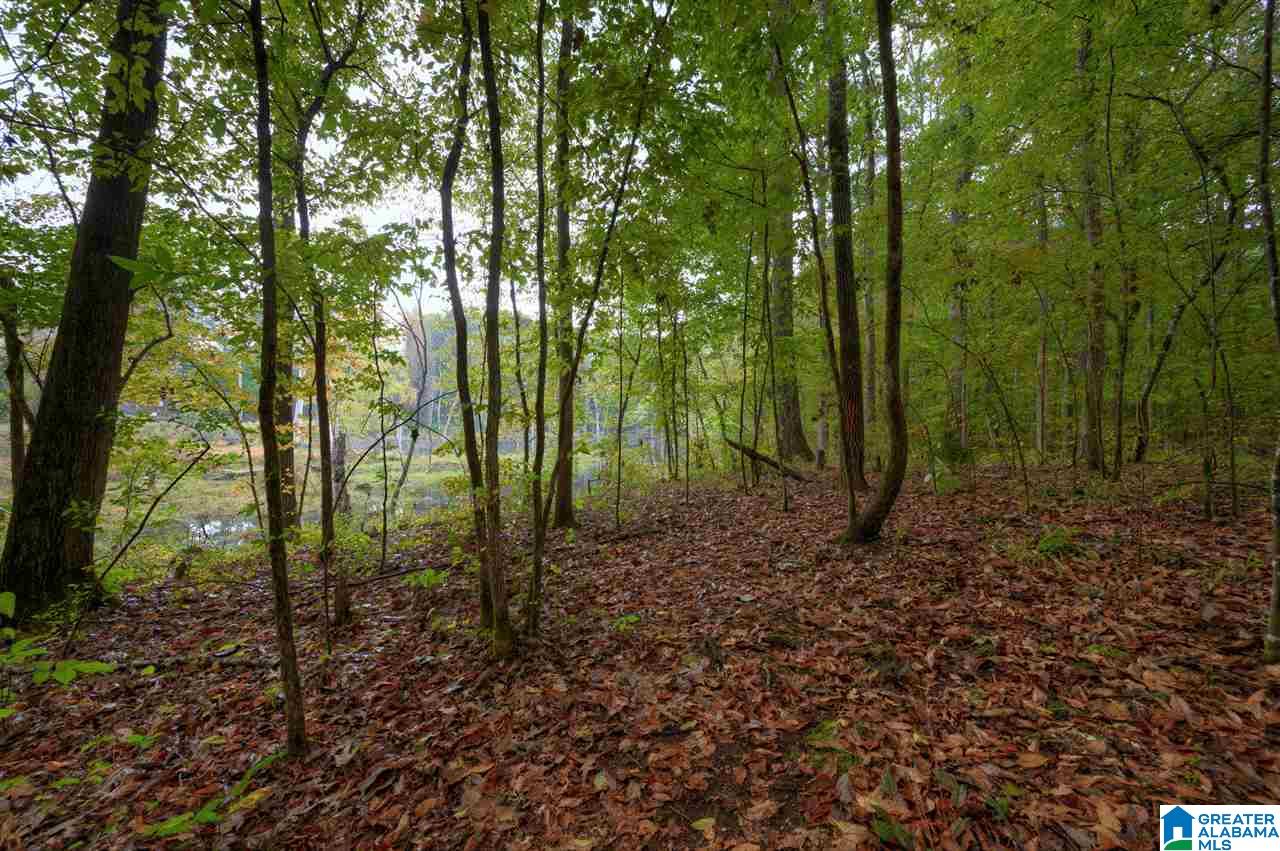 4864 Mt Olive Road Gardendale, AL 35071 - Photo 39 of 42