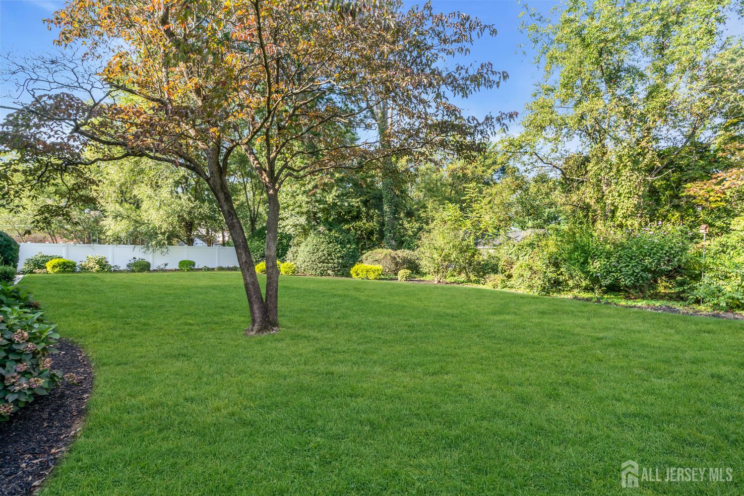 16 Stafford Road Colonia, NJ 07067 - Photo 34 of 41 a huge green field with lots of trees