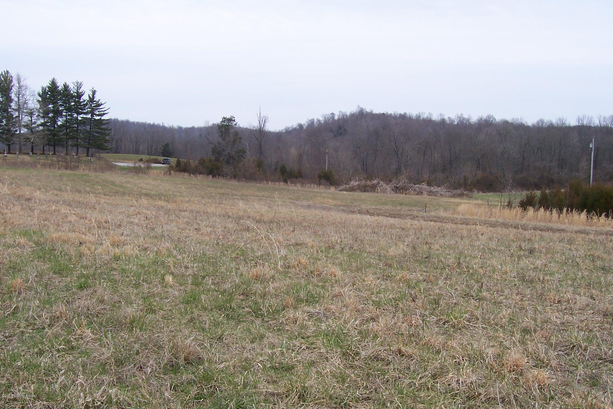999 Mahurn Cemetery Road Caneyville, KY 42721 - Photo 10 of 12 100_6496