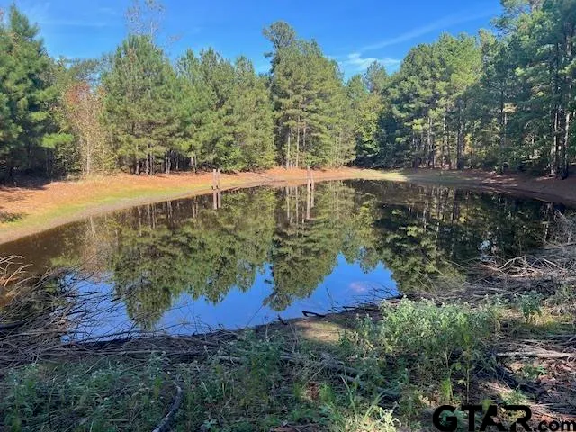 a view of a yard with outside area