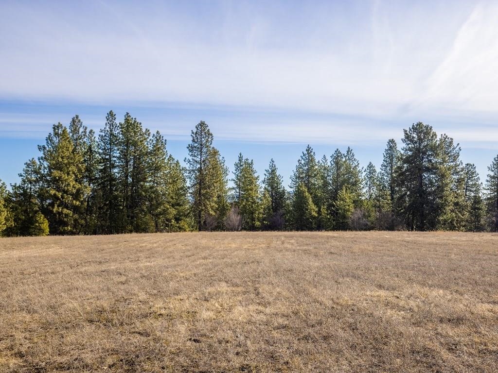 8112 North Jensen Road Spokane, WA 99217 - Photo 4 of 21