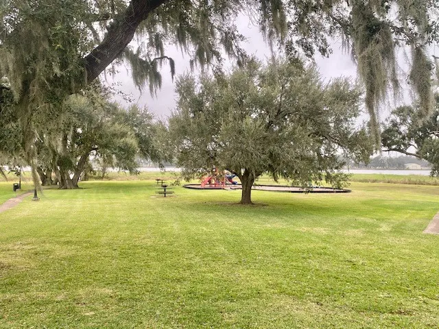 a view of outdoor space with trees