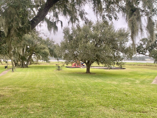 218 Cattle Drive Trail Angleton, TX 77515 - Photo 12 of 34 a view of yard with swimming pool and trees