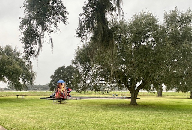218 Cattle Drive Trail Angleton, TX 77515 - Photo 13 of 34 a view of outdoor space with trees