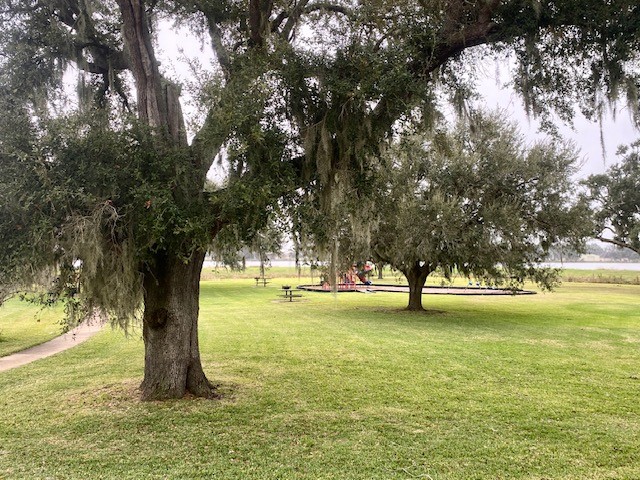 218 Cattle Drive Trail Angleton, TX 77515 - Photo 24 of 34 a view of an ocean with a yard