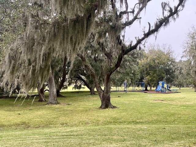 218 Cattle Drive Trail Angleton, TX 77515 - Photo 25 of 34 a view of yard with swimming pool
