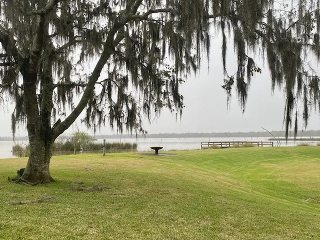 a view of outdoor space with garden