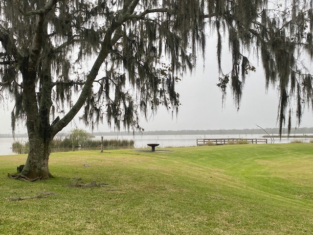 218 Cattle Drive Trail Angleton, TX 77515 - Photo 26 of 34 a view of yard with swimming pool and large trees
