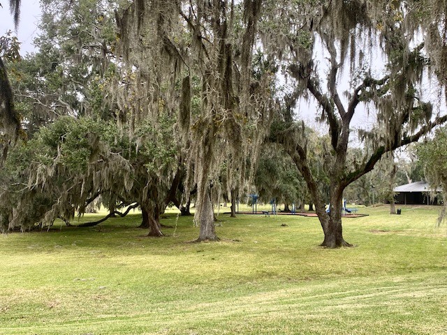218 Cattle Drive Trail Angleton, TX 77515 - Photo 27 of 34 a view of outdoor space with garden