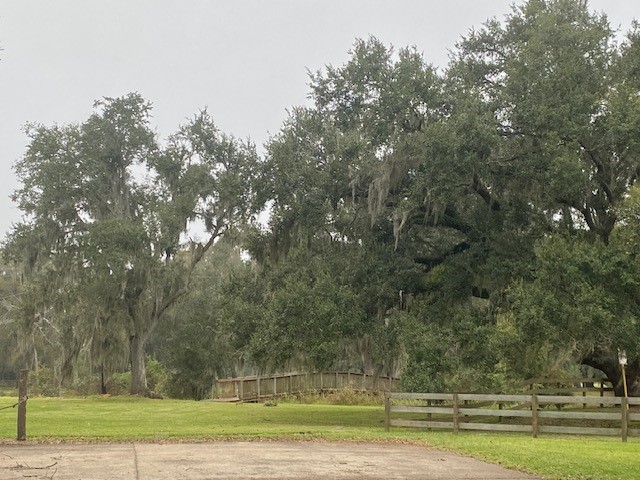 218 Cattle Drive Trail Angleton, TX 77515 - Photo 34 of 34 a view of a yard