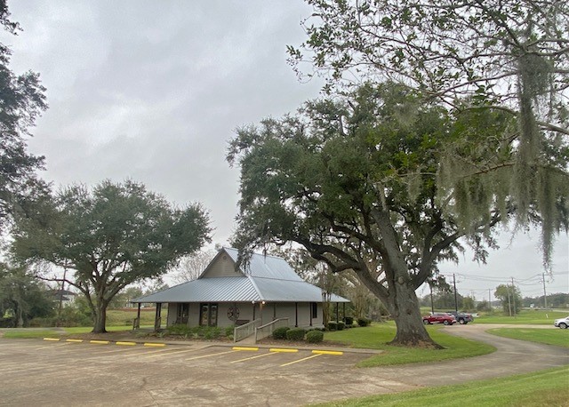 218 Cattle Drive Trail Angleton, TX 77515 - Photo 5 of 34 a front view of a house with a garden