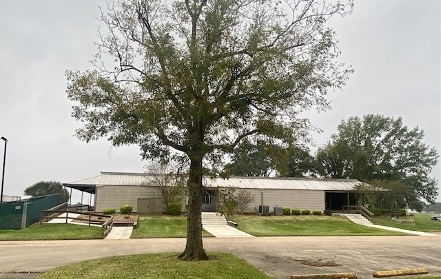 218 Cattle Drive Trail Angleton, TX 77515 - Photo 8 of 34 a view of a house with a yard