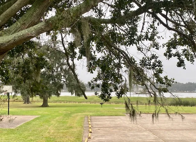 a view of a swimming pool with a garden and trees
