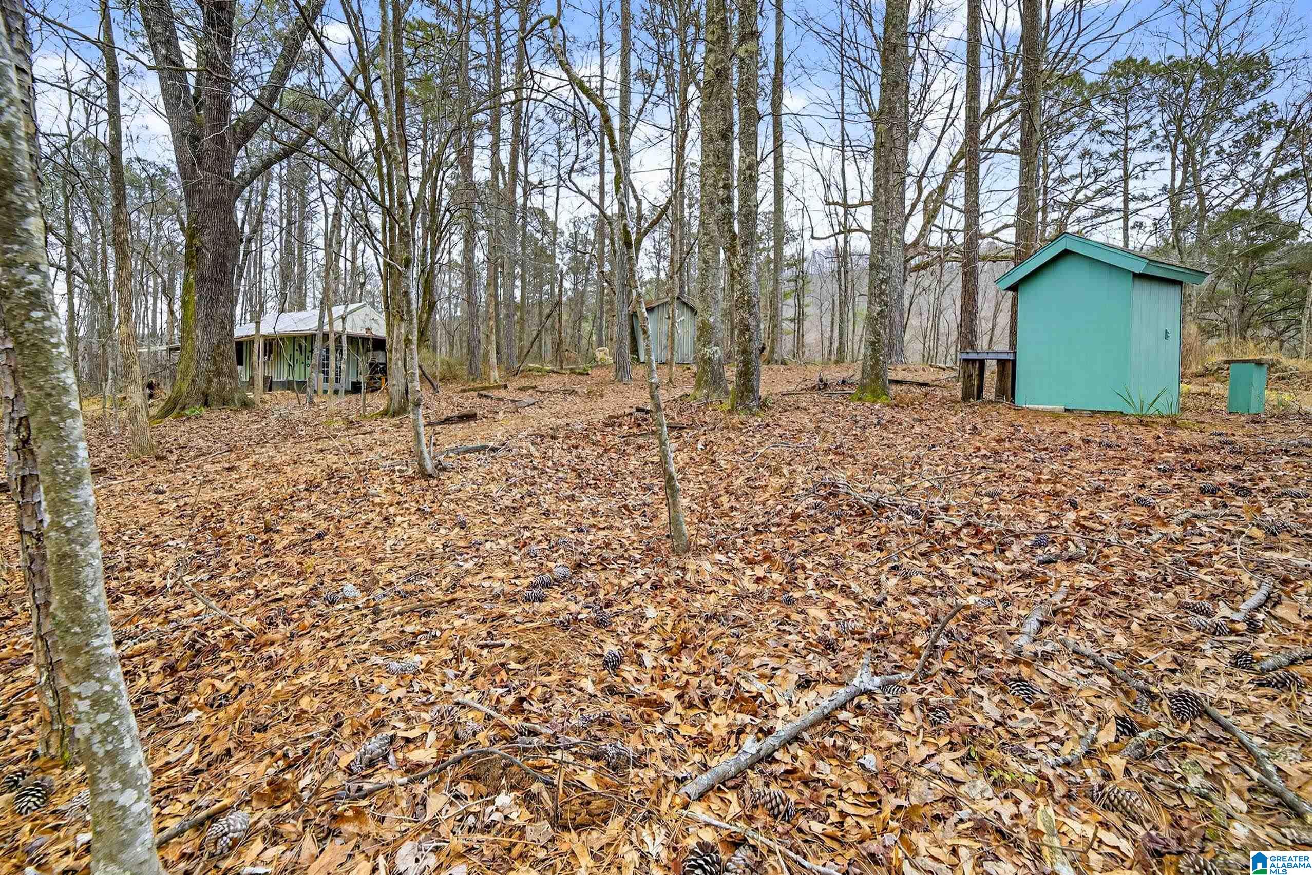 1285 White Oak Road Ashland, AL 36251 - Photo 50 of 71