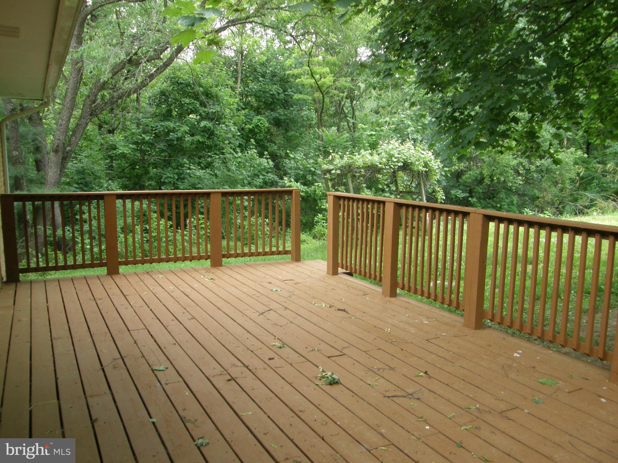 15305 Clear Spring Road Williamsport, MD 21795 - Photo 4 of 19 Exterior (Rear)