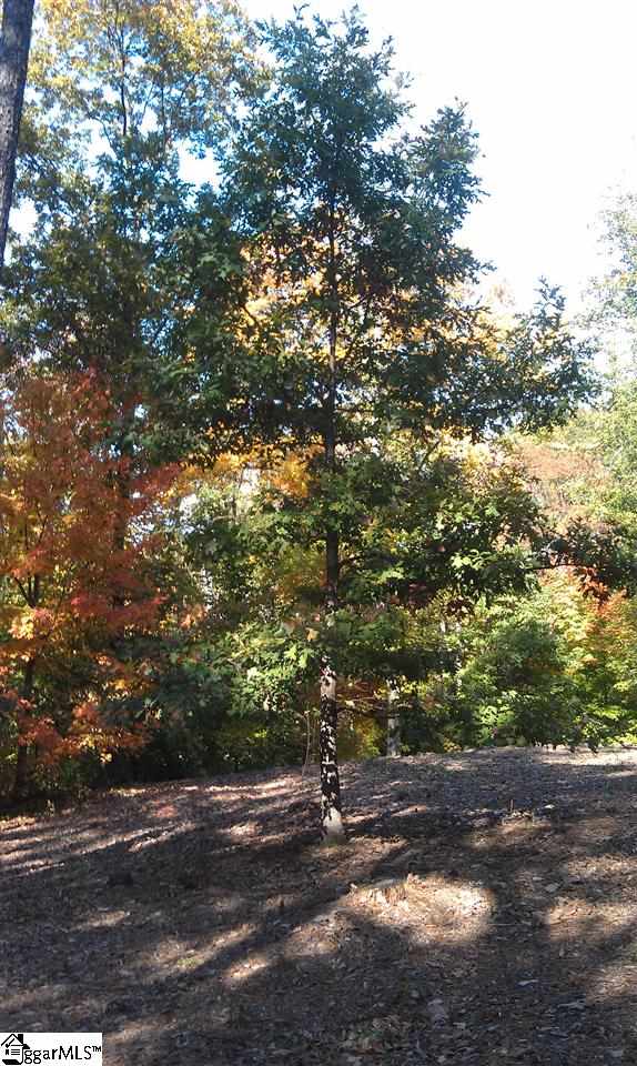 8 Windfield Road Greenville, SC 29607 - Photo 2 of 6