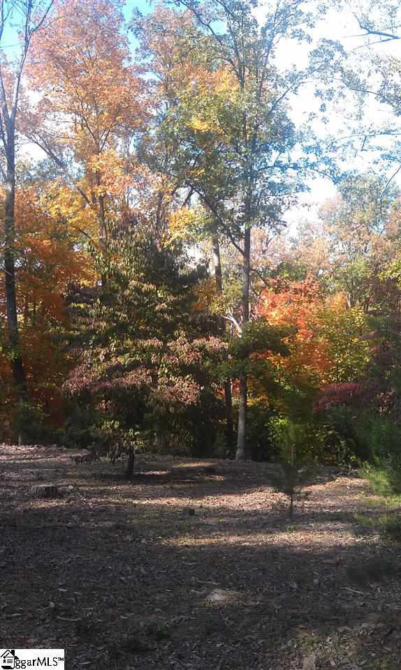 8 Windfield Road Greenville, SC 29607 - Photo 3 of 6