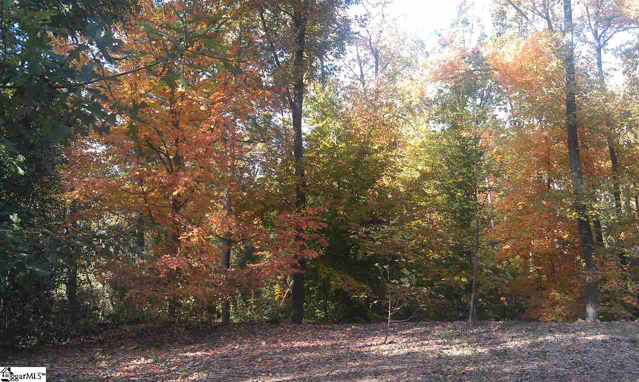 8 Windfield Road Greenville, SC 29607 - Photo 5 of 6