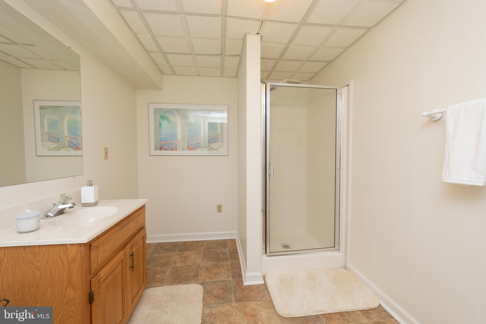 715 Signal Hill Road Dresher, PA 19025 - Photo 50 of 76 Basement