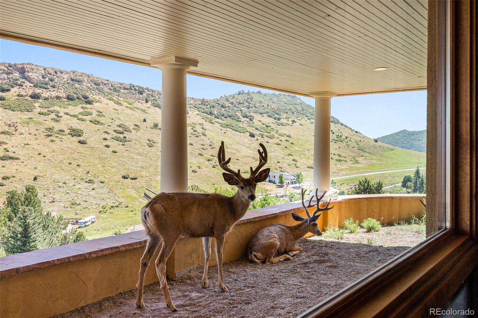 5970 Crestbrook Drive Morrison, CO 80465 - Photo 27 of 34 a view of a room with a large window