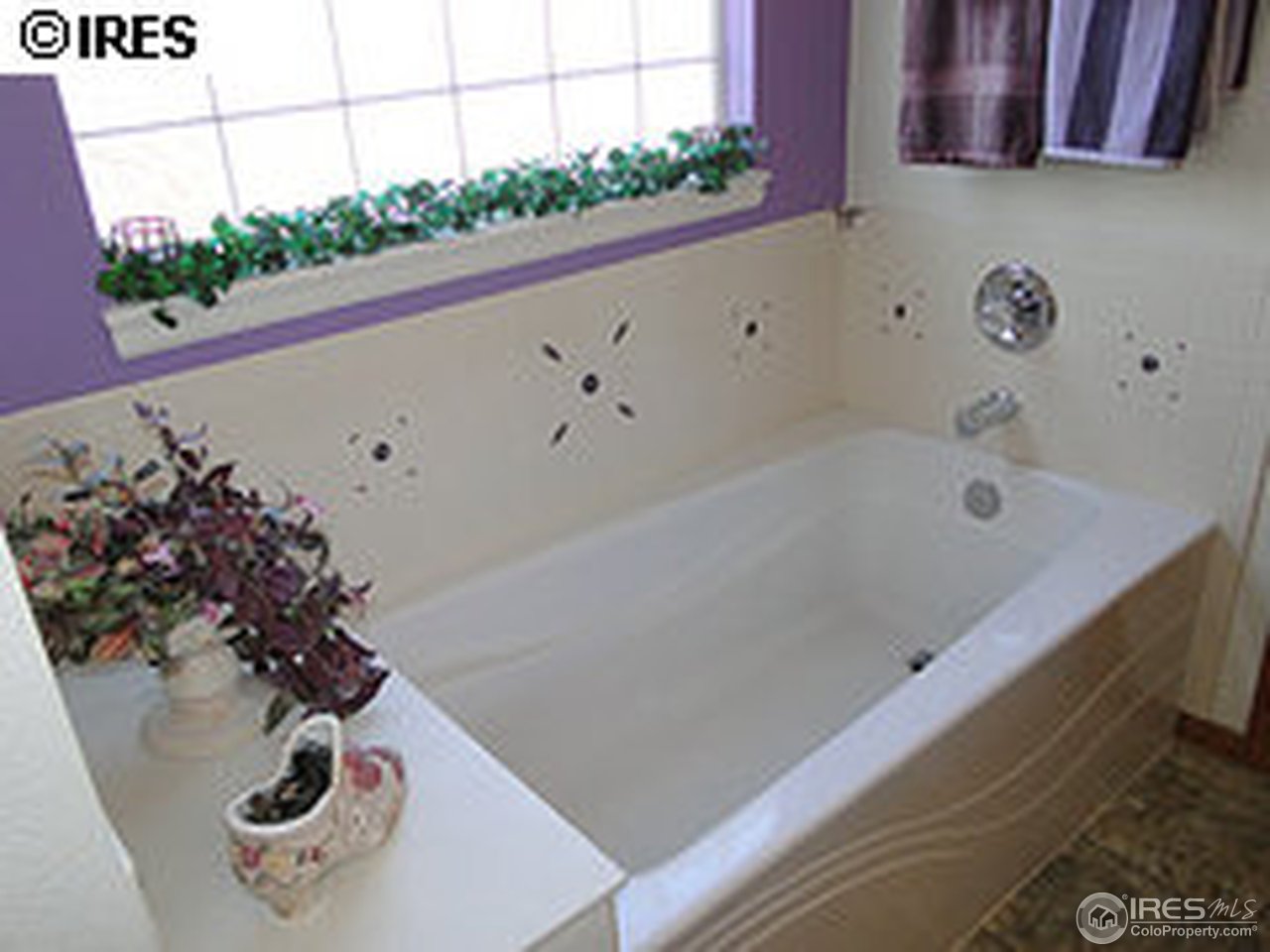 665 East 4th St Road Eaton, CO 80615 - Photo 15 of 16 Gallery Image 15