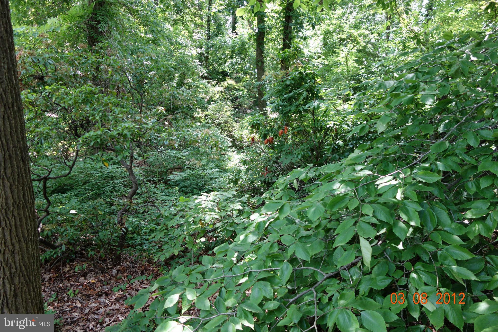 Hines Road Parkville, MD 21234 - Photo 3 of 10 View