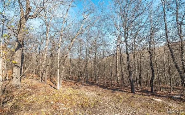 $99,000 | 83 Minx Vly Drive, Roach, MO 65787